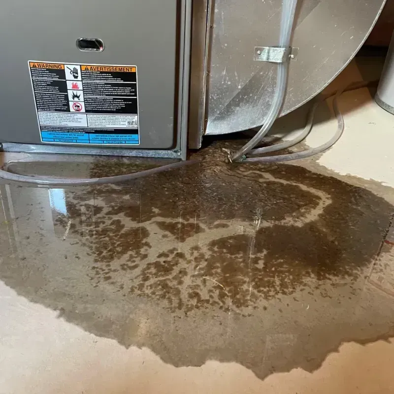 Appliance Leak Cleanup in Sandston, VA